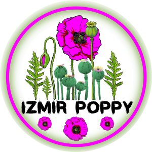 Izmir Poppy