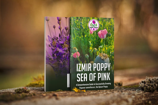 IZMIR POPPY SEA OF PINK: A COMPREHENSIVE GUIDE TO BEING SUCCESSFUL GROWING PAPAVER SOMNIFERUM THE OPIUM POPPY
